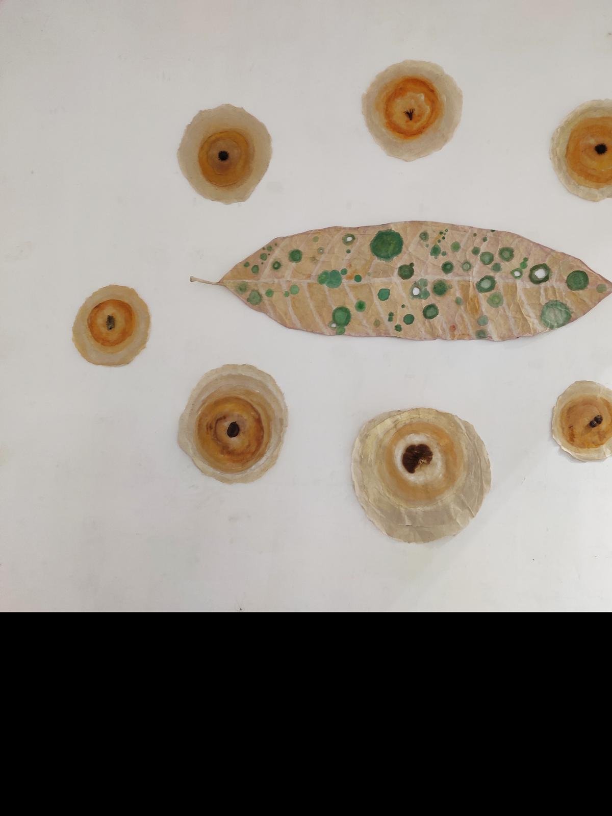 लिंसी सैमुअल की द लास्ट लीफ, ब्रॉडएंड में, केरल के तीन ललित कला महाविद्यालयों, ललित कला महाविद्यालय, तिरुवनंतपुरम, ललित कला महाविद्यालय, त्रिशूर और राजा रवि वर्मा महाविद्यालय के संकाय सदस्यों द्वारा चित्रकला, मूर्तिकला और अनुप्रयुक्त कलाओं की एक प्रदर्शनी ललित कला, मवेलीकारा। 