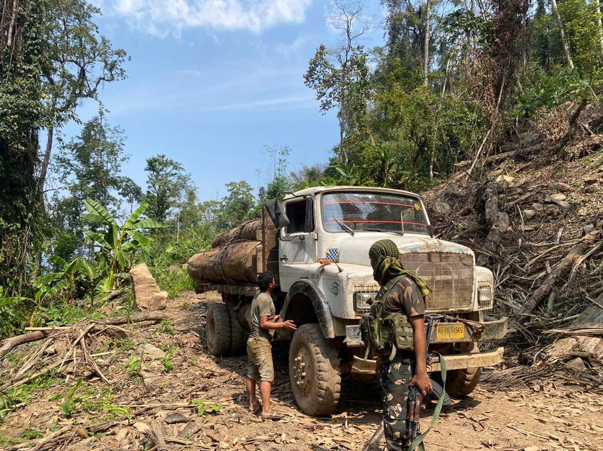 अरुणाचल प्रदेश के चांगलांग जिले में नामदाफा राष्ट्रीय उद्यान और टाइगर रिजर्व के मुख्य क्षेत्र से लॉग और एक ट्रक जब्त किया गया।