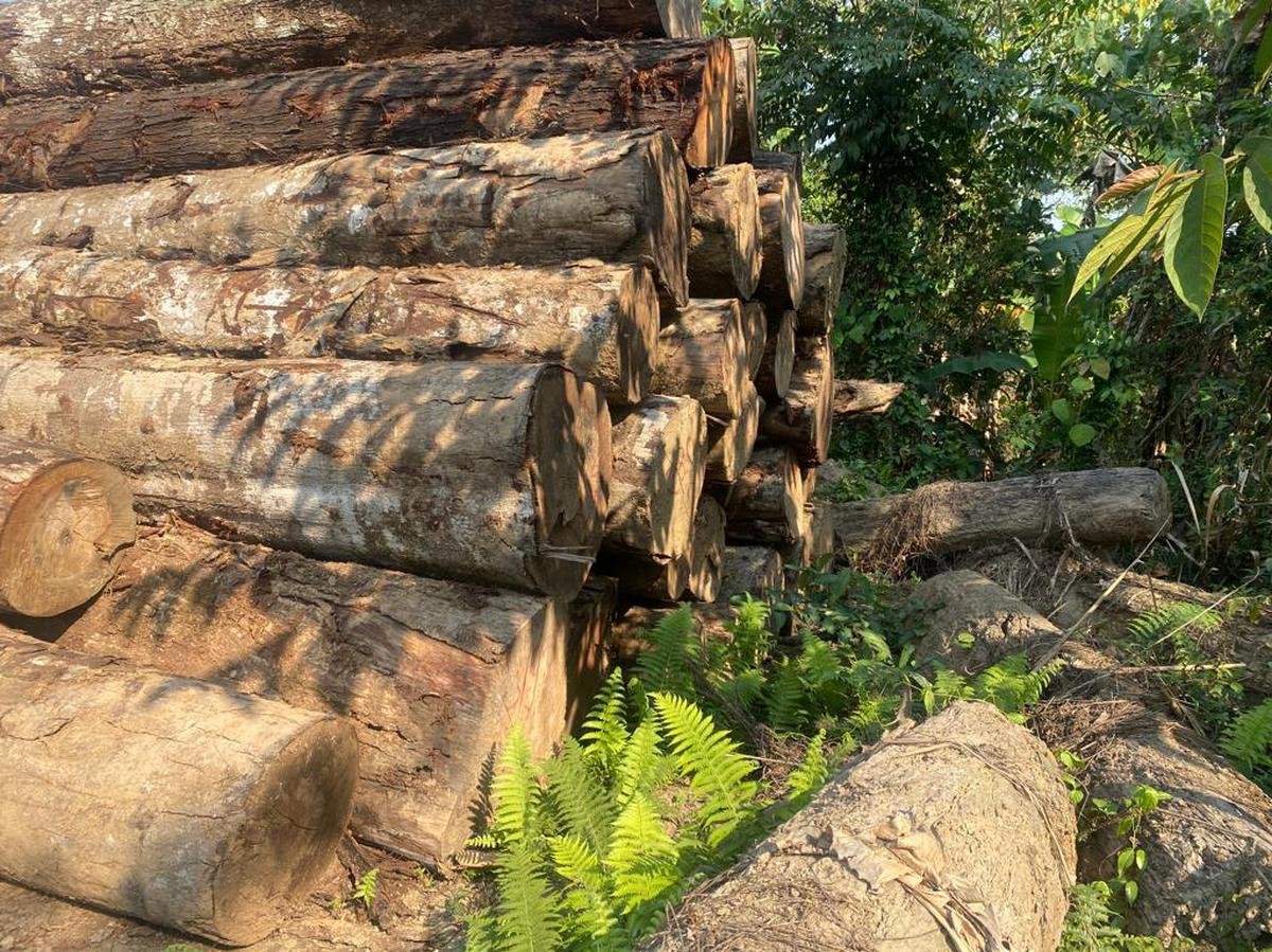 अरुणाचल प्रदेश के चांगलांग जिले में नामदाफा राष्ट्रीय उद्यान और टाइगर रिजर्व के मुख्य क्षेत्र से लॉग और एक ट्रक जब्त किया गया।