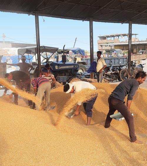 Most big firms help in setting up farmer producer companies  to get assured supply of produce in return, say farmers (Photogaph: Bina Krishak Producer Company Ltd)