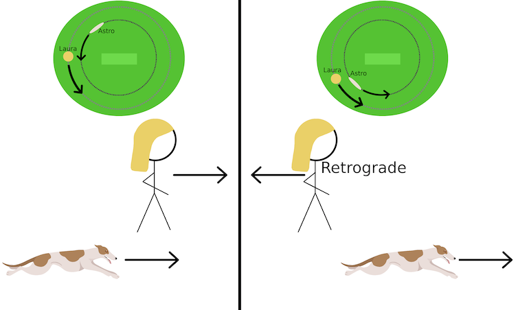 एस्ट्रो द व्हिपेट के नजरिए से कलाकार की प्रतिगामी गति की छाप।