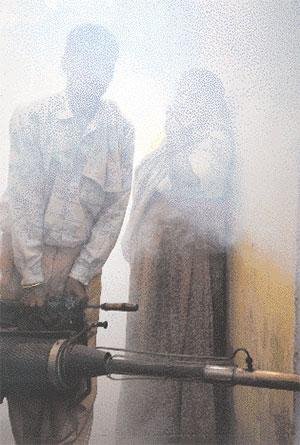 Guilty: vector control operations (Photo: Amit Shanker)