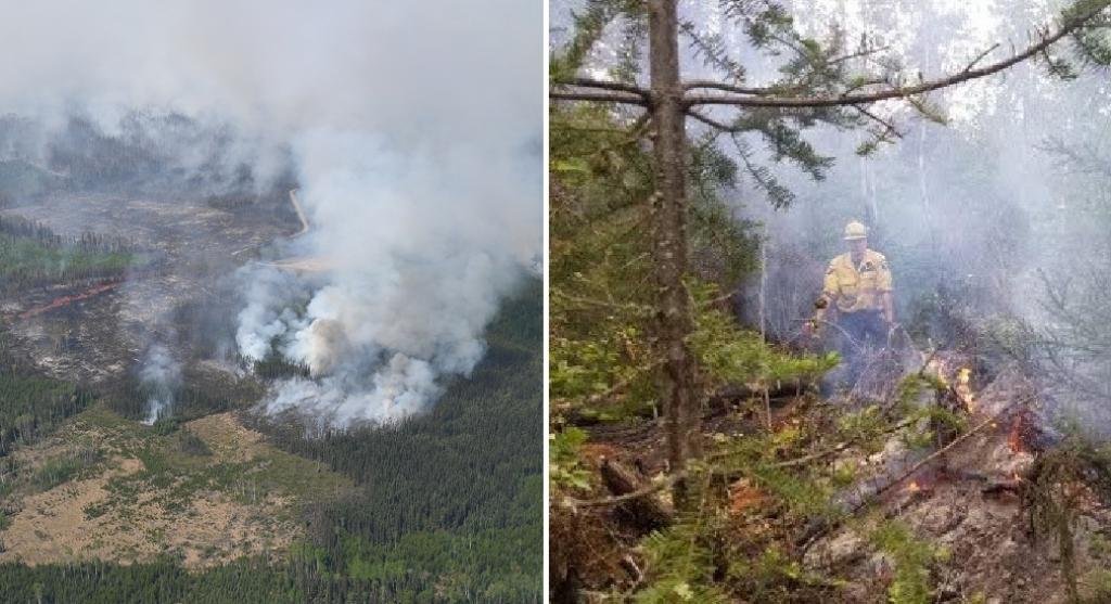 समाचार आउटलेट WION ने बताया कि कनाडा के पश्चिमी क्षेत्र में जंगल की आग के धुएं ने लोगों के लिए स्वास्थ्य चेतावनी शुरू कर दी, लेकिन 21 मई को देश के कठिन हिस्सों में गर्म धूप को रोककर आग को शांत करने में भी मदद की।  अलबर्टा वाइल्डफायर ने 22 मई तक 496 जंगल की आग का जवाब दिया है। पिछले साल सिर्फ 459 हेक्टेयर की तुलना में 842,000 हेक्टेयर से अधिक जला दिया गया है।  तस्वीरें: @AlbertaWildfire / Twitter