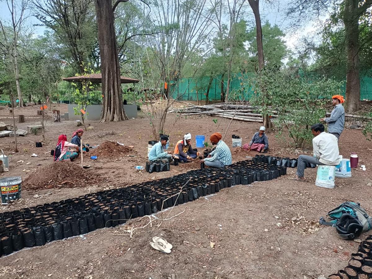 The team has started the development of native grass plantations, as well as nurseries for native grasses, and the demarcation and protection of certain grass patches. 