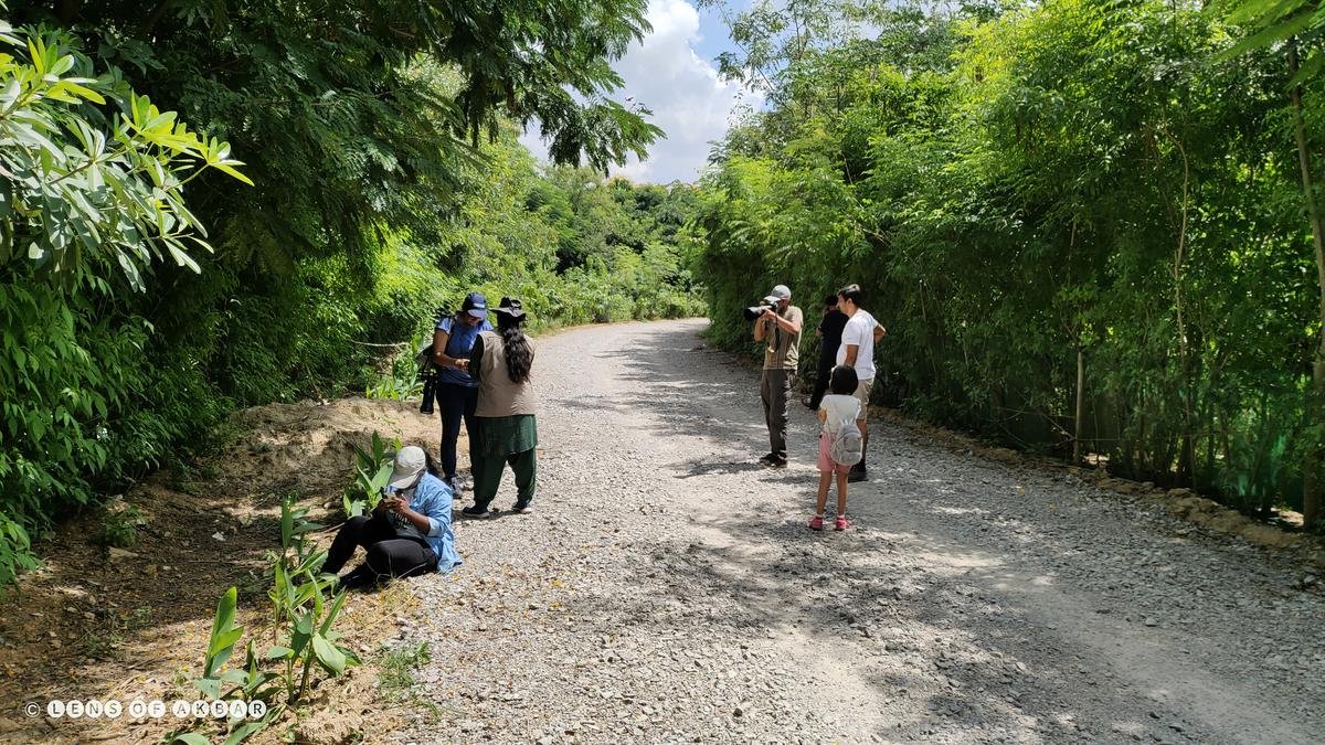 Volunteers during a transect walk in Hyderabad as part of the Dragonfly Festival.