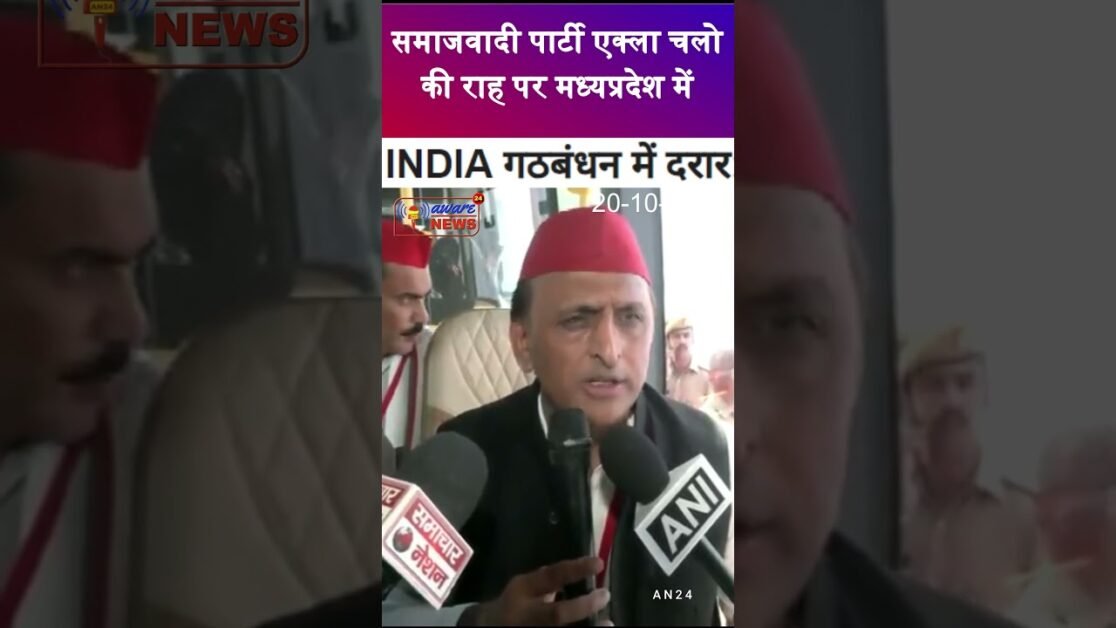 Samajwadi party leader Akhilesh Yadav says we will fight in madhyaprdesh election alone