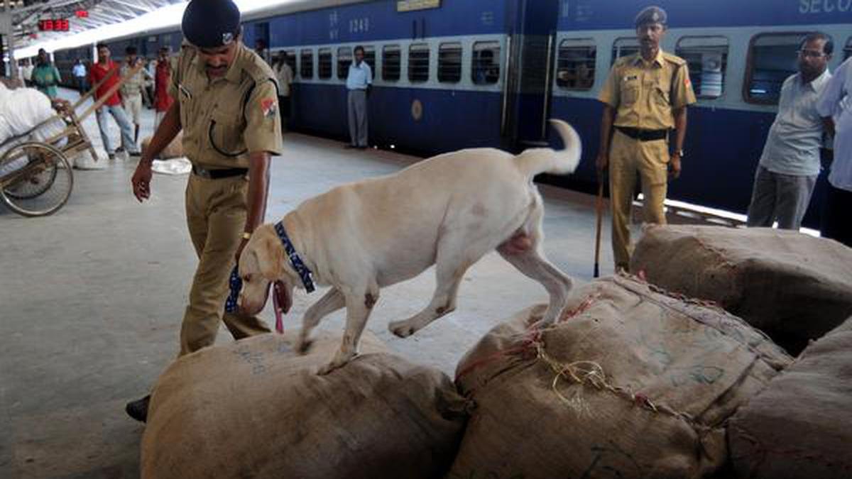 राजस्थान, मध्य प्रदेश में रेलवे स्टेशनों, धार्मिक स्थलों को बम से उड़ाने की धमकी